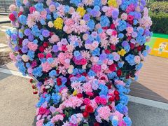 -苏州太湖西山岛开心农场