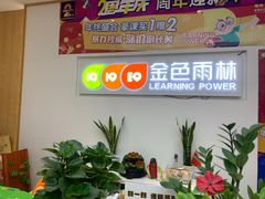 -金色雨林学习力培优(专注力提升)