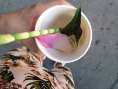 -会安古镇