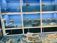 -金龙·打边炉(南京西路店)