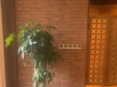 -浅深Cheersum(曹杨店)