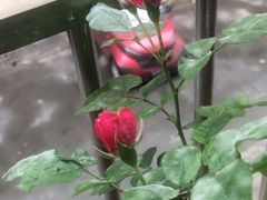 -乡村基(双流时代奥特莱斯餐厅)