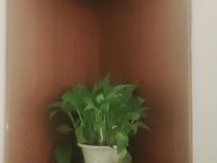 -手功王养生·足疗按摩·SPA·采耳(天府路店)