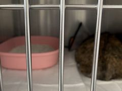 -艾贝尔宠物医院 ·中兽医·宠保定点(北门桥店)