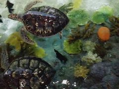 -福州罗源湾海洋世界旅游区