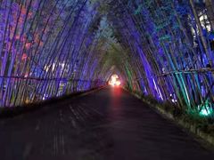 -婺源梦里老家大型山水实景演出