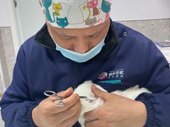 -良伴无忧宠物医院(泰欣嘉园店)