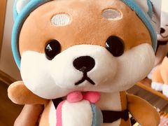 -柴犬小屋·柴餐厅·狗咖食堂(金鼎广场店)