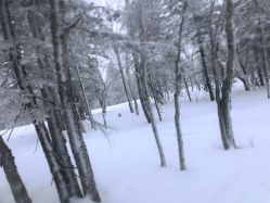 -大秃顶子山