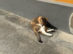 -龙华素斋(龙华路店)