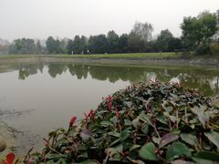 -夏河溪乡野公园