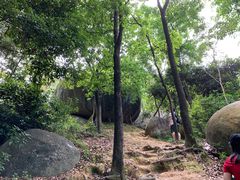 -火炉山森林公园