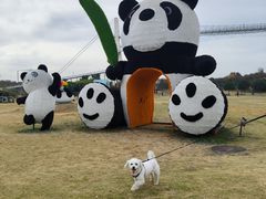 -武汉紫薇都市田园