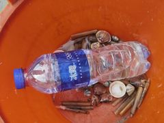 -红树林天天赶海