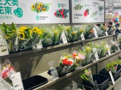 -鹿岛生活(熙地港店)
