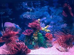 -乌鲁木齐海洋馆