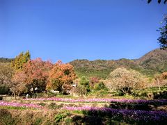 -塔川景区