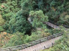 -宁波五龙潭景区