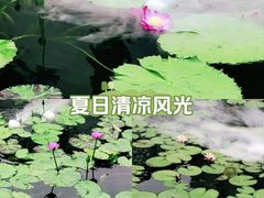 -和平公园