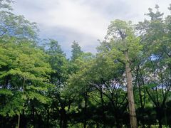 -福神岗公园