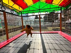 -廊坊固安福朋喜来登酒店