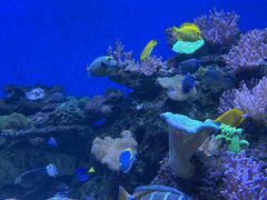 -成都浩海立方海洋公园