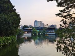 -荔湾湖公园