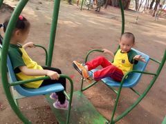 -东方巨龟苑景区