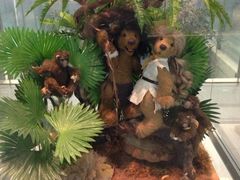 iphone_upload_pic-济州岛泰迪熊博物馆