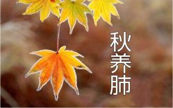 -雅曼妮spa美容养生