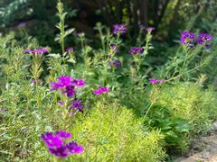 -国家植物园南园