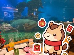 -海棠湾洲际-涛·海底餐厅·美人鱼·自助餐·海底隧道