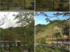 -大连天门山国家森林公园