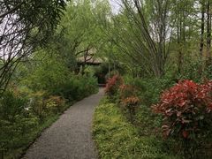 -新江湾城公园