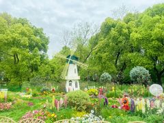 -上海共青森林公园