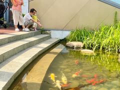 -活水公园