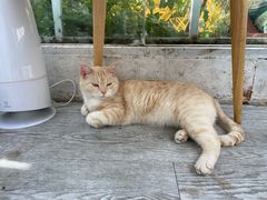 -VOYAGE COFFEE(北锣鼓巷店)