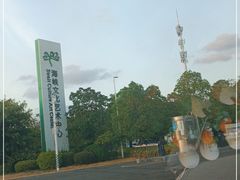 -福州海峡文化艺术中心