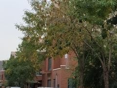 -天津东丽湖风景区