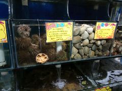 -蚝专家(北滘店)
