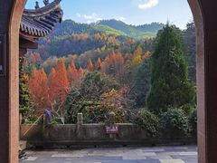-九华山风景区