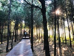-北京十三陵国家森林公园蟒山景区