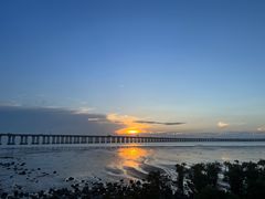 -宝安西湾红树林湿地公园