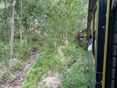 -合肥滨湖国家森林公园