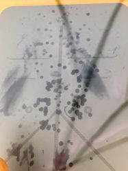 -莫纳瑜伽·普拉提