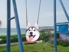 -三亚亚龙湾天域度假酒店