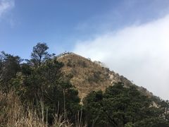 -银瓶嘴森林公园