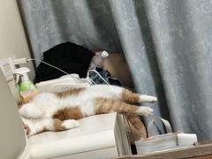 -小银星艺术团(河埒口校区)