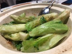 啫啫生菜煲-陶陶居·雅园(凯华国际店)