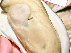 -土蚝·高压锅生蚝(百姓美食街店)